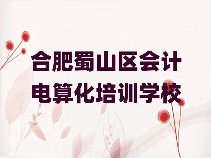 合肥蜀山區(qū)會計(jì)電算化哪個學(xué)校好前十名