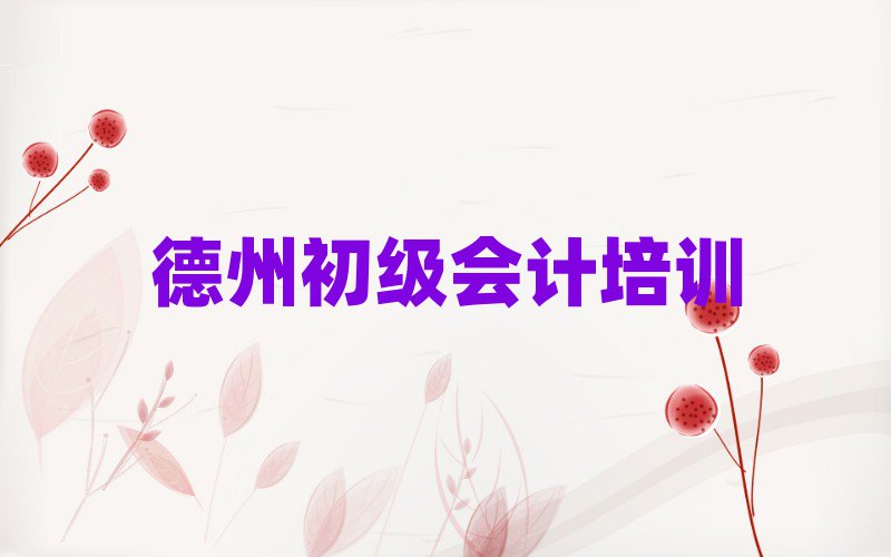 德州德城區(qū)學初級會計去哪里學比較好?