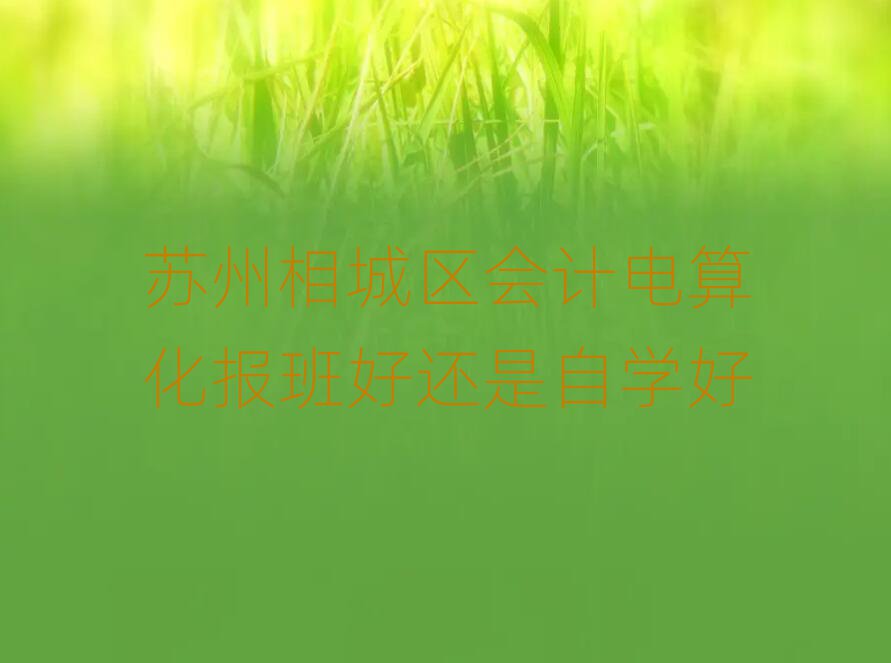 蘇州相城區(qū)會計電算化報班好還是自學(xué)好