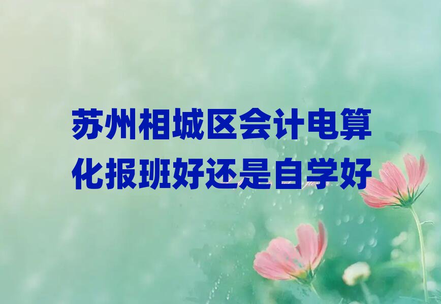 蘇州相城區(qū)會計電算化報班好還是自學(xué)好