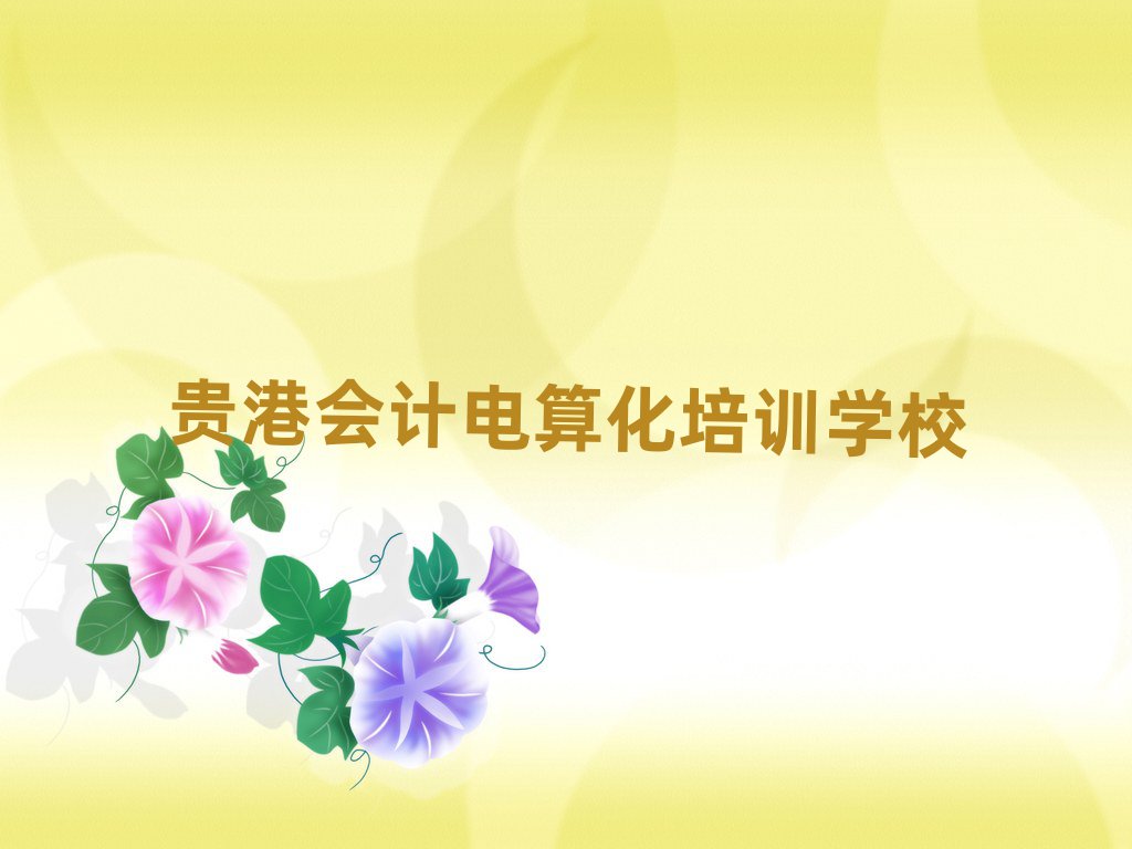 5月貴港港南區(qū)會計電算化班排名top10