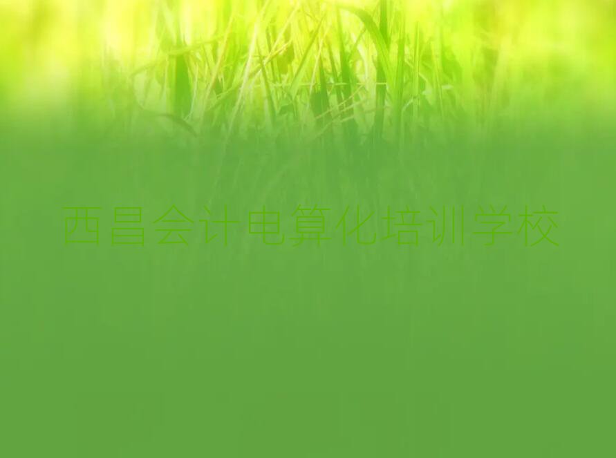 5月西昌會計電算化學(xué)校速成班排名一覽表