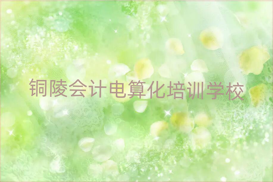 銅陵學(xué)會(huì)計(jì)電算化哪兒好精選名單排行榜匯總