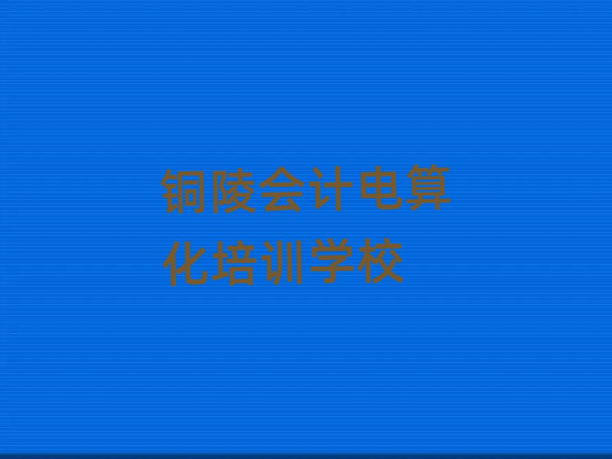 銅陵學(xué)會(huì)計(jì)電算化哪兒好精選名單排行榜匯總