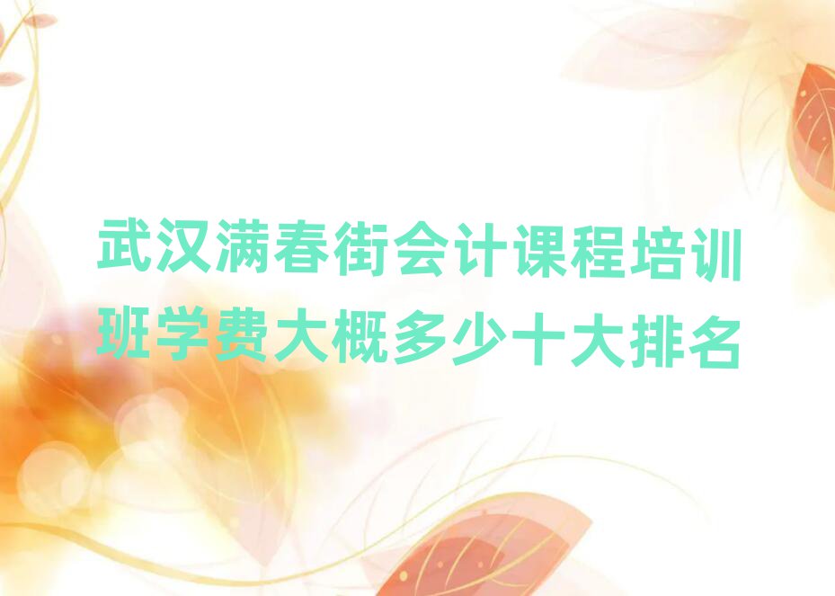 武漢滿春街會(huì)計(jì)課程培訓(xùn)班學(xué)費(fèi)大概多少十大排名