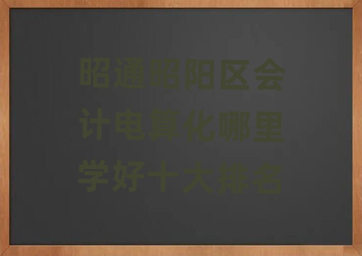 昭通昭陽區(qū)會(huì)計(jì)電算化哪里學(xué)好十大排名