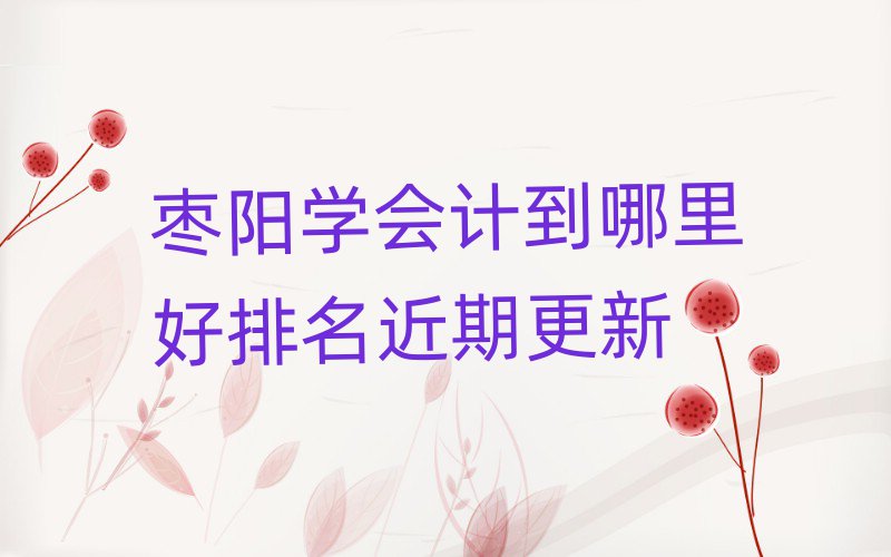 棗陽(yáng)學(xué)會(huì)計(jì)到哪里好排名近期更新