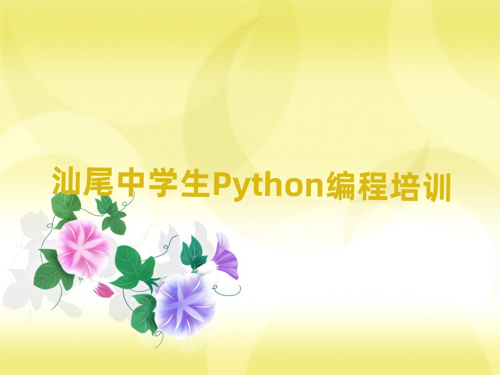 ЌWPython