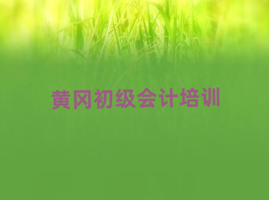 2025年黃岡黃州區(qū)的初級會計機構(gòu) 推薦一覽