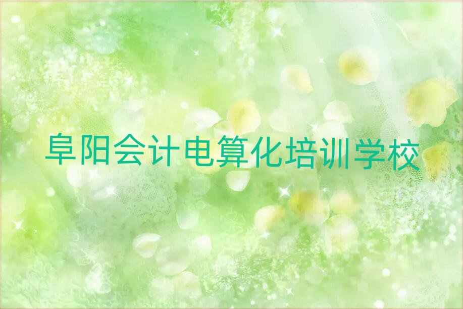 阜陽哪里有會(huì)計(jì)電算化培訓(xùn)班排名前十