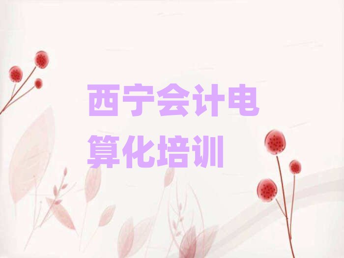 2025年西寧會計電算化哪個學(xué)校好名單榜首精選出爐