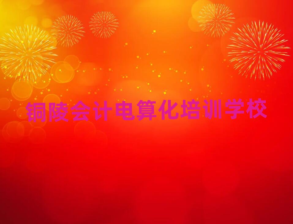 銅陵學(xué)習(xí)會計電算化十大一覽匯總本地甄選的