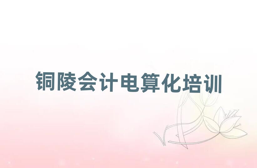 銅陵學(xué)習(xí)會計電算化十大一覽匯總本地甄選的