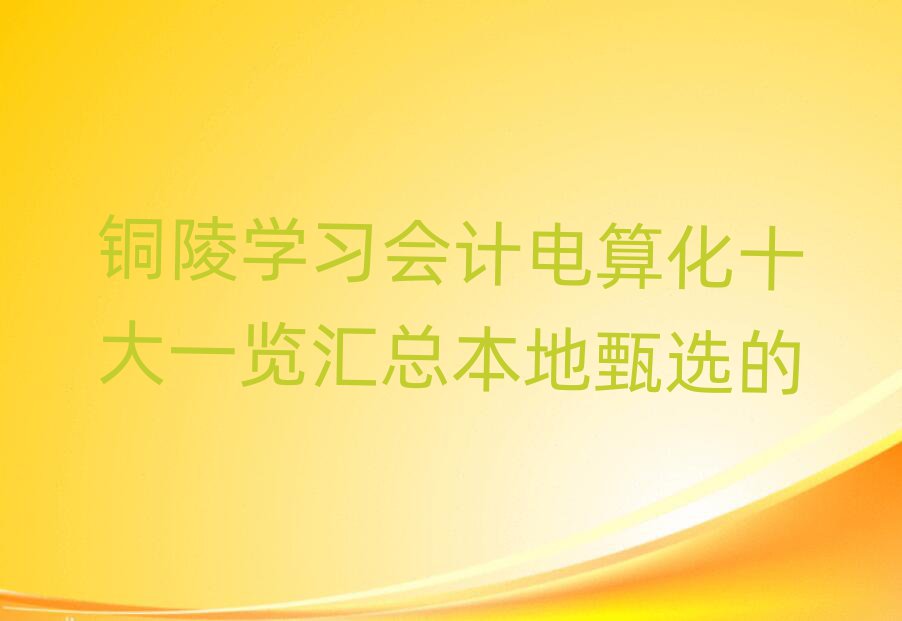 銅陵學(xué)習(xí)會計電算化十大一覽匯總本地甄選的