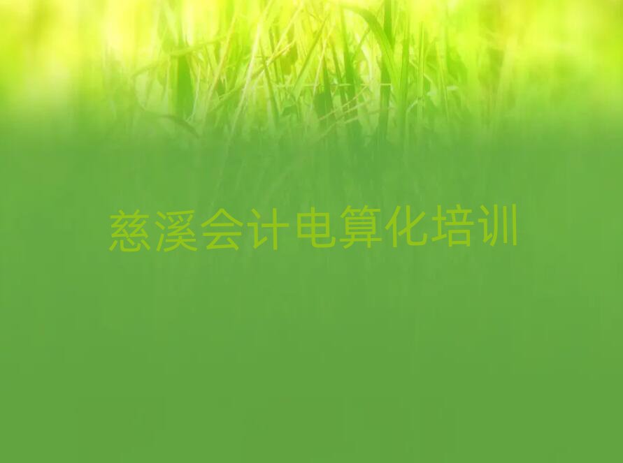 2025年慈溪哪里可以學(xué)會計電算化值得推薦的名單榜首一覽
