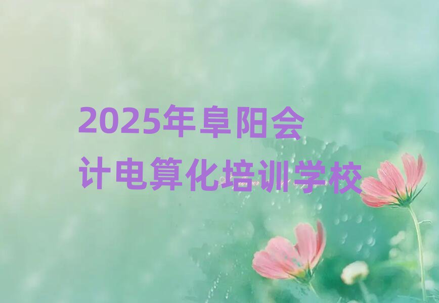 2025年阜陽會計電算化培訓學校