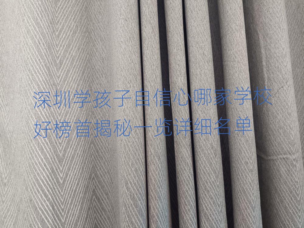深圳學(xué)孩子自信心哪家學(xué)校好榜首揭秘一覽詳細(xì)名單