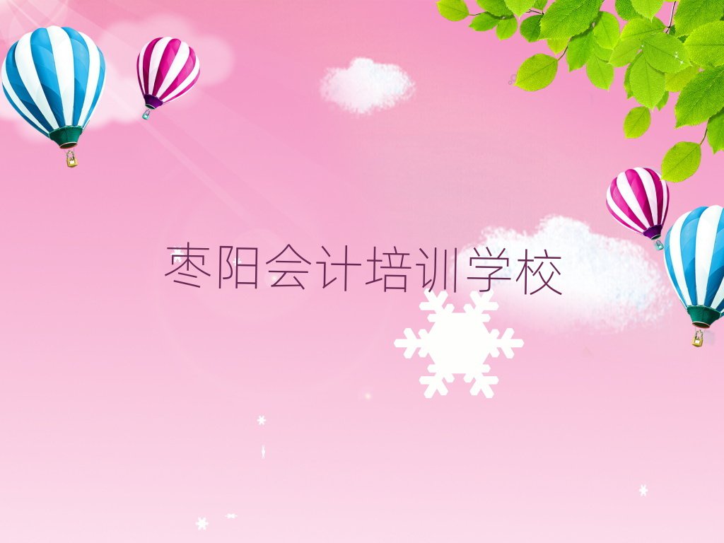 2025年棗陽專業(yè)會(huì)計(jì)培訓(xùn)學(xué)校哪家好點(diǎn)