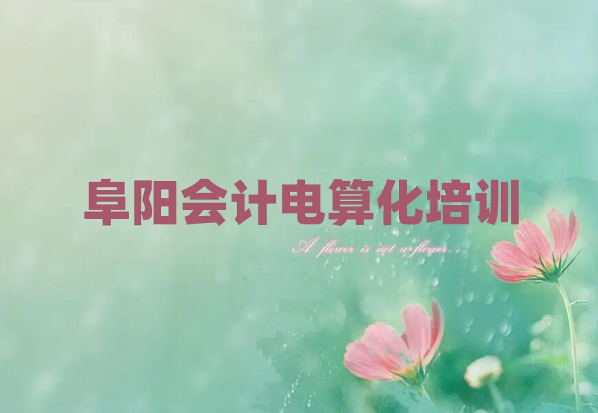 阜陽好的會計電算化培訓學校排名口碑好的