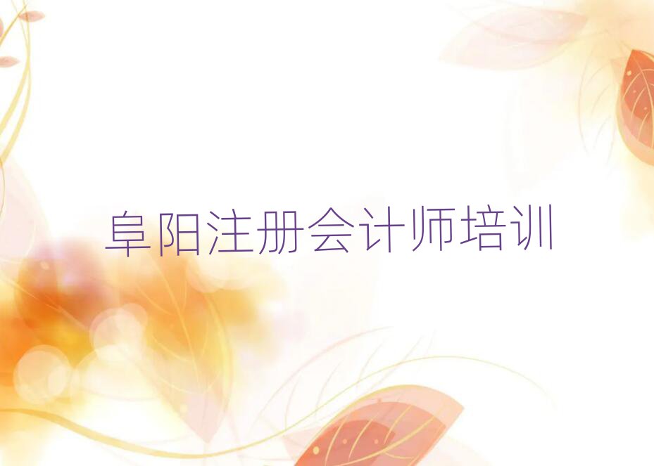 阜陽(yáng)注冊(cè)會(huì)計(jì)師班top排行榜
