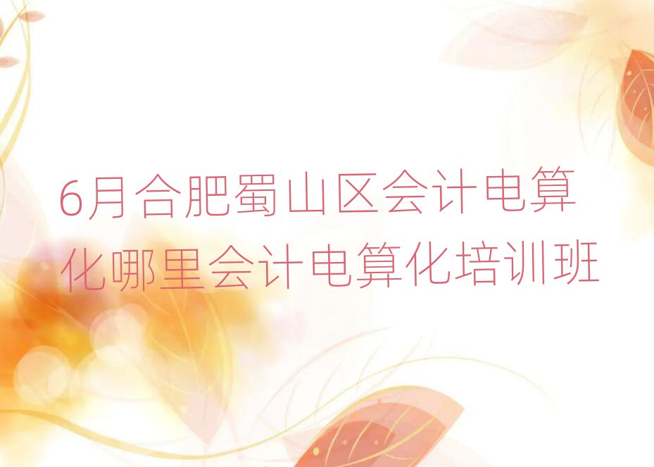 6月合肥蜀山區(qū)會計(jì)電算化哪里會計(jì)電算化培訓(xùn)班