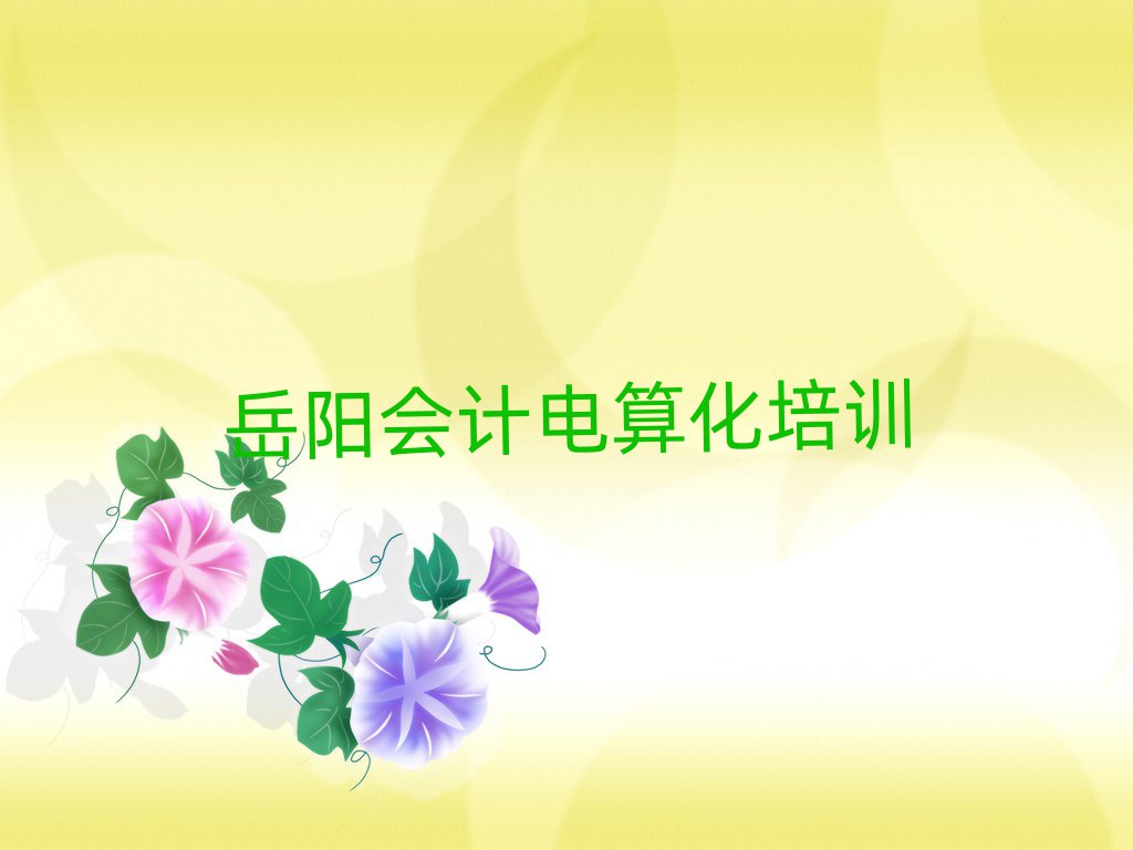 2025年岳陽會計電算化