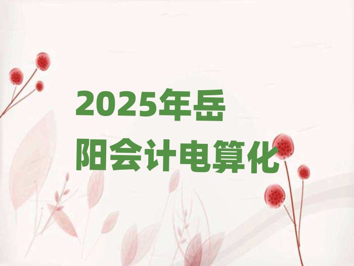 2025年岳陽會計電算化