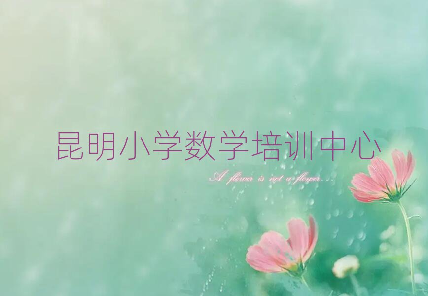 昆明晉寧區(qū)小學(xué)數(shù)學(xué)正規(guī)小學(xué)數(shù)學(xué)培訓(xùn)機(jī)構(gòu)推薦
