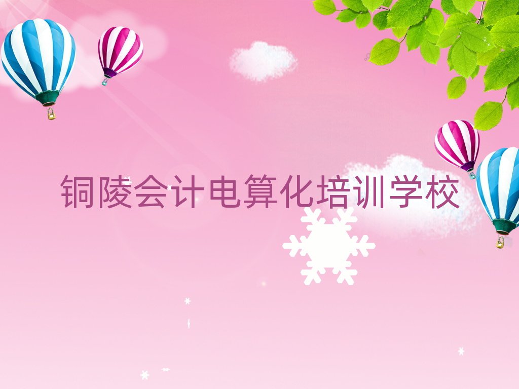 銅陵教會計電算化的培訓(xùn)班名單榜首公布