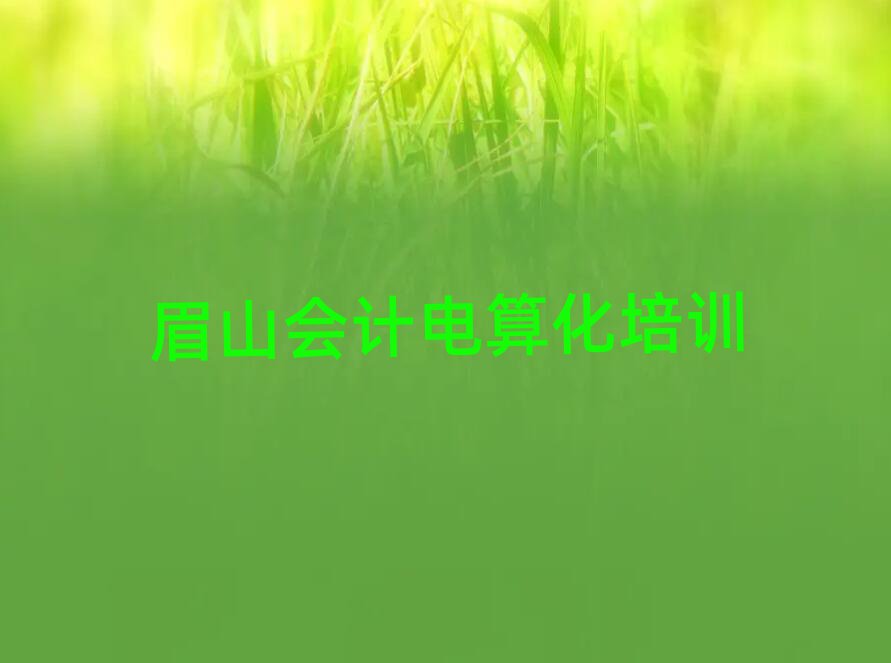 2025眉山學(xué)會計(jì)電算化好的學(xué)校十大排行