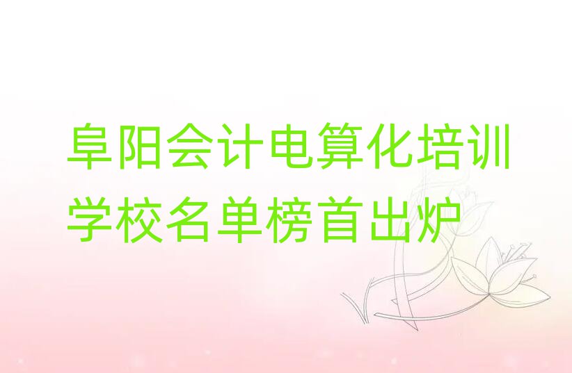 阜陽會計電算化培訓(xùn)學(xué)校名單榜首出爐