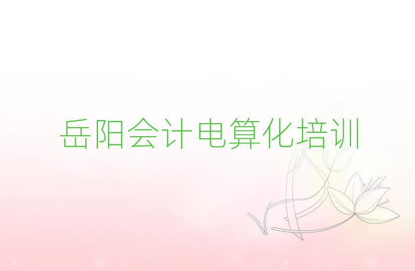 岳陽會計電算化網(wǎng)絡(luò)教學(xué)