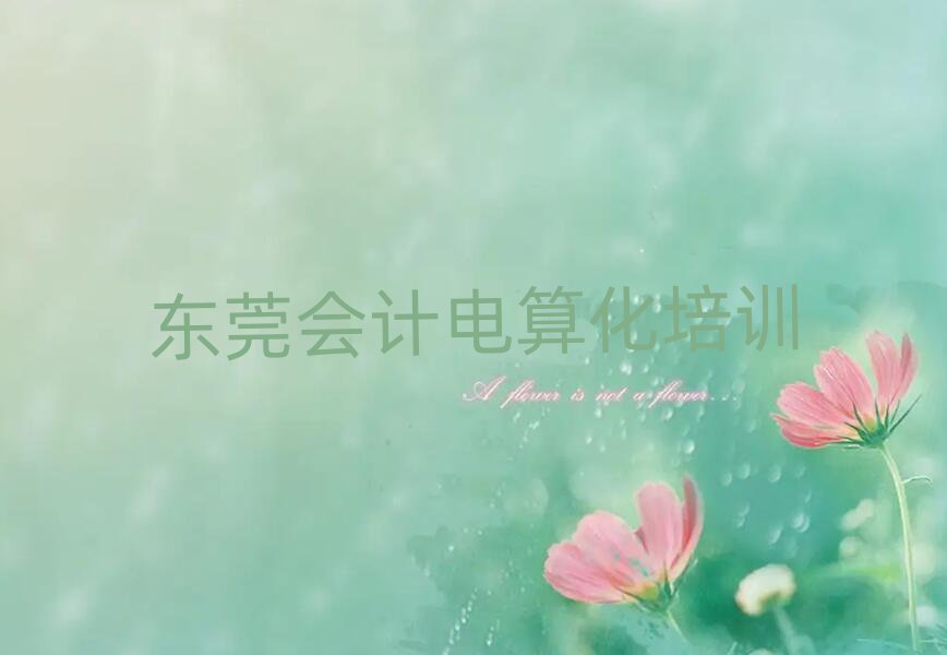 東莞會(huì)計(jì)電算化哪個(gè)學(xué)校好排名榜