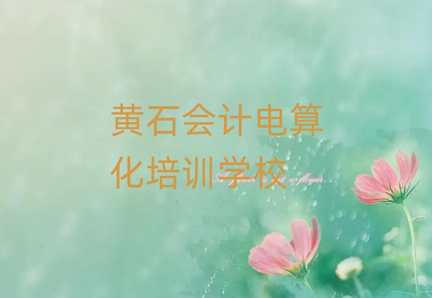 黃石會計電算化網(wǎng)上學(xué)習(xí)班本地實力排名一覽更新