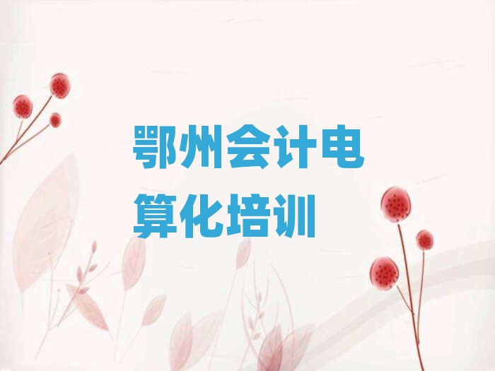 2025鄂州會(huì)計(jì)電算化培訓(xùn)學(xué)習(xí)排名前十