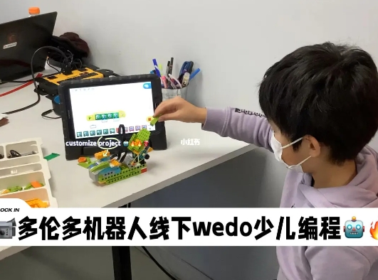 wedo編程啟蒙